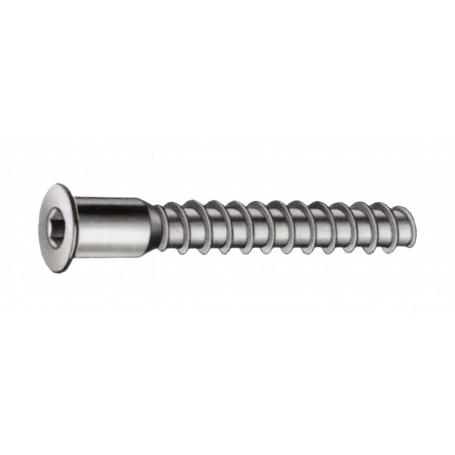 TORNILLO ENSAMBLAR ALLEN 5X50 CINCADO A495