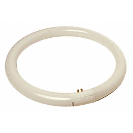 TUBO FLUOR.CIRCULAR 22W TRIFOSFORO