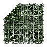 SETO JARDIN VERTICAL 1X1MT JASMIN VERDE 2017256