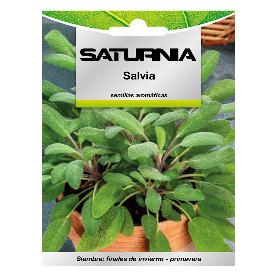 SEMILLAS AROMATICAS SALVIA (1 GRAMO) HORTICULTURA, HORTICOLA, SEMILLAS HUERTO.