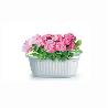 JARDINERA MINI 25X12,5X9,5 CM BLANCA SIN PLATO