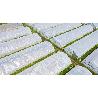 PLASTICO TRANSPARENTE 4 M GALGA 600