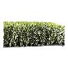 CESPED ARTIFICIAL 40MM 2 X 10 MTS NIZA