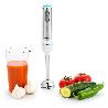 BATIDORA PIE INOXIDABLE 600W + VASO