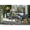 SILLONES 65X65X75 CM + SOFA 75X126X65 CM + MESA 59X43 CM