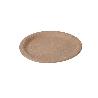 PLATO CARTON 17 CM