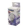 LAMPARA LED A60 12W E27 STANDAR LUZ CALIDA