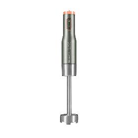 BATIDORA PIE SUPER VIP 800W INOXIDABLE