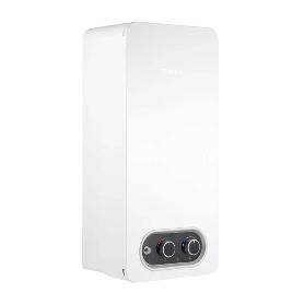 CALENTADOR ATMOSF. 10LT BR31B/P