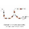 CONECTOR MANGUERA SOFT-TOUCH 1/2 CON STOP
