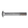TORNILLO DIN-603  6X 25 ZINC X100
