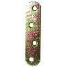 PLACA WOLFPACK BICROMATADO  60X18 MM.