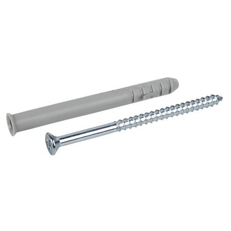 TACO LARGO DE GOLPE CON TORNILLO POZIDRIVE Ø10 X 100 MM   CAJA 50 UNID.
