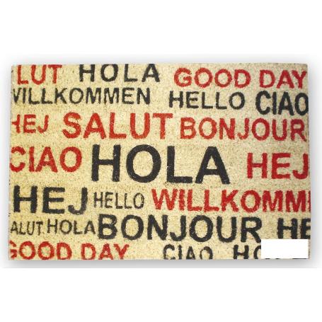 FELPUDO INTERIOR COCO PINTADO 40X60X1.50CM (HOLA IDIOMAS)