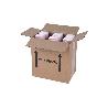 AMBIENTADOR DE VARILLAS ORCHID 50 ML   CAJA 6 UNID.