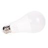 BOMBILLA LED CLASSIC E27 16 W 1901 LM 6500 K