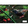 MALLA ANTIPAJAROS 4X6M 7G/M2