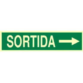SEÑAL LUMINISCENTE 400X100MM. SORTIDA