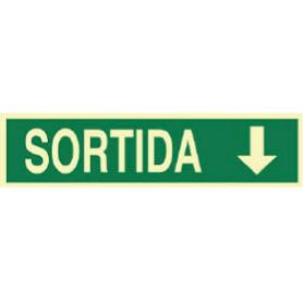 SEÑAL LUMINISCENTE 400X100MM. SORTIDA