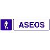 SEÑAL GLASSPACK ADHESIVA 250X62MM. ASEOS