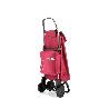 CARRO COMPRA IMAX TERMO ZEN 4L BASSI