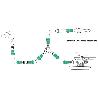 CONECTOR MANGUERA PLASTICO 3/4       BLISTER