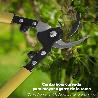 TIJERAS PODAR PROFESIONAL ACERO 1172/50 CM. 2 MANOS