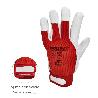 GUANTES PIEL / LONA CON VELCRO. CON COLGADOR 10 GUANTES DE TRABAJO, GUANTES DE PROTECCIÓN (PAR)
