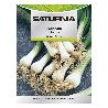 SEMILLAS CEBOLLA BLANCA (4 GRAMOS) SEMILLAS VERDURAS, HORTICULTURA, HORTICOLA, SEMILLAS HUERTO.