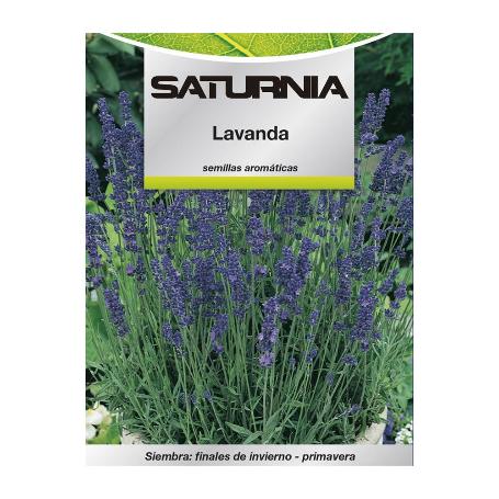 SEMILLAS AROMATICAS LAVANDA (0.5 GRAMOS) HORTICULTURA, HORTICOLA, SEMILLAS HUERTO.