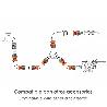 CONECTOR MANGUERA SOFT-TOUCH 1/2