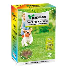 SEMILLAS CESPED REPOBLADOR 1 KG.