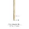 RASTRILLO POLIPROPILENO 20 PUAS PROFESIONAL 63 CM. RASTRILLO JARDIN, RASTRILLO ACEITUNA, RASTRILLO HOJAS, CEPILLO H