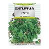 SEMILLAS AROMATICAS OREGANO (0.3 GRAMOS) HORTICULTURA, HORTICOLA, SEMILLAS HUERTO.