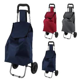 CARRO COMPRA 33L SURTIDO