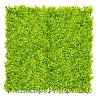 SETO JARDIN VERTICAL 1X1 MT HELECHO VERDE 2017258