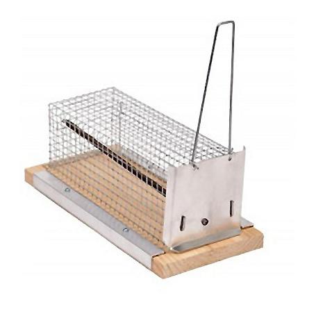 RATONERA TELA METALICA 21 CM