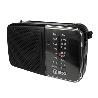 RADIO AM/FM PD712N