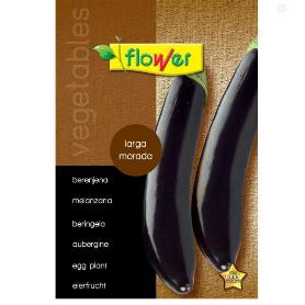 BERENJENA LARGA MORADA 50504 FLOWER