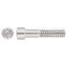 TORNILLO INOX DIN 912 A2 M16*55