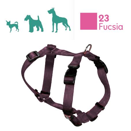 ARPPE ARNES PERRO NYLON BASIC FUC 2241011623