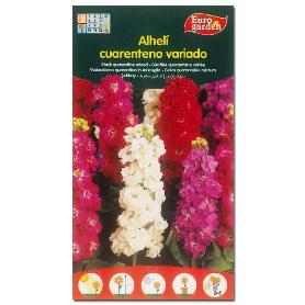 SEMILLAS FITO FLORES ALHELI CUARENTENO 00508 (CAJA 10 UNIDADES)