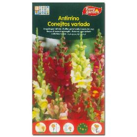 SEMILLAS FITO FLORES ANTIRRINO CONEJITOS VARIADOS 00505 (CAJA 10 UNIDADES)