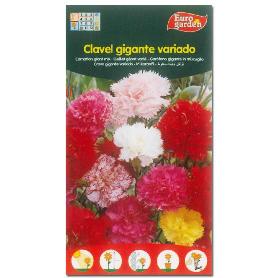 SEMILLAS FITO FLORES CLAVEL GIGANTE VARIADO 00615 (CAJA 10 UNIDADES)