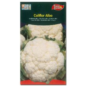 SEMILLAS FITO HORTICOLAS COLIFLOR ALBA 00087 (CAJA 10 UNIDADES)