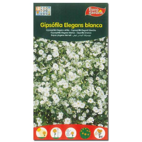 SEMILLAS FITO FLORES GIPSOFILA ELEGANS BLANCA 00558 (CAJA 10 UNIDADES)