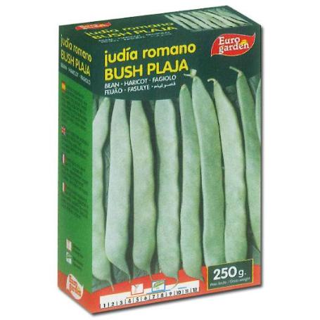 SEMILLAS FITO LEGUMINOSA JUDIA ROMANO BUSH PLAJA 250 GR 4520