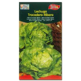 SEMILLAS FINSTOCK FITO HORTICOLAS LECHUGA TROCADERO RIBERA 00205 (CAJA 10 UNIDADES)