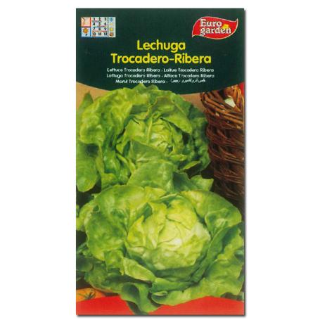 SEMILLAS FINSTOCK FITO HORTICOLAS LECHUGA TROCADERO RIBERA 00205 (CAJA 10 UNIDADES)