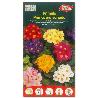SEMILLAS FITO FLORES PRIMULA-PRIMAVERA VARIADA 00591 (CAJA 10 UNIDADES)